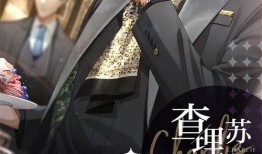 光夜卡面最新爆料,神秘角色惊艳登场，剧情走向再掀波澜！