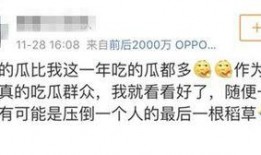 吃瓜群众娱乐素材网站,吃瓜群众独家娱乐素材大揭秘